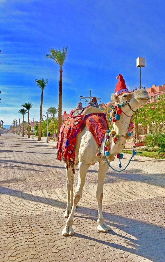 The Touristic Promenade Apartment Hurghada Exterior foto