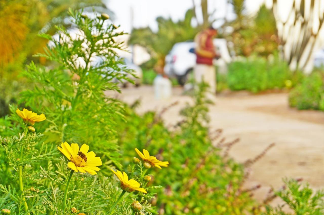 The Touristic Promenade Apartment Hurghada Exterior foto